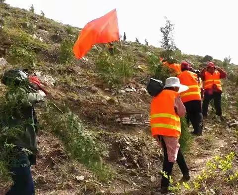 涉县持续打造森林城市，生态底色愈加浓厚