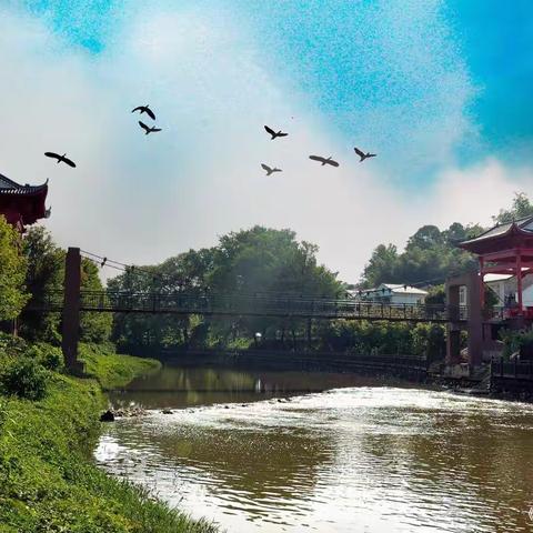 盛夏乡村行——采风集锦