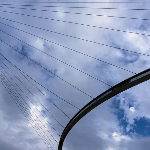 原二砂 新见闻--2022.8.26.