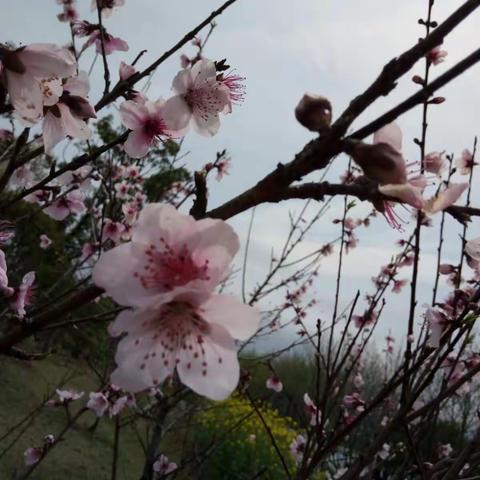 追寻着雨后春的气息