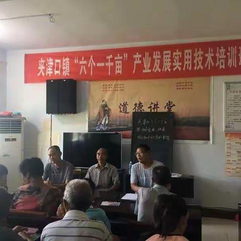 省城请来教授   田间培训农民———我镇成功举办四期“六个一千亩”产业技术培训班