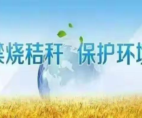 禁止焚烧秸秆，共护美好家园——瑞景名都幼儿园禁烧秸秆倡议书