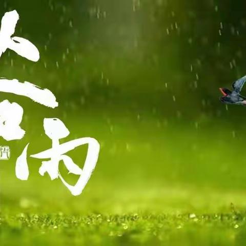 明日谷雨！愿你我，都不辜负春光