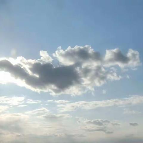 花有重开日，人无再少年