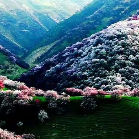 错过也不辜负