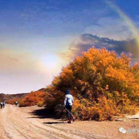 “国培计划”（2020）—衡南县小学数学送教培训研修小记（二）