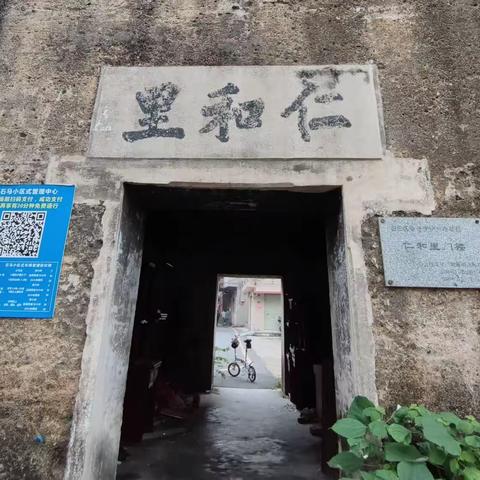 20230406 美麗鄉村在。。。隔篱