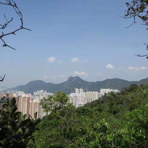 20230415,16 節奏調速器：狮子山飛鵝山