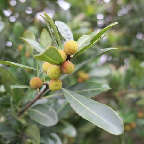 20230423 迷霧🌁看山⛰️