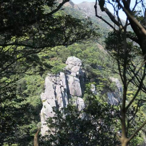 20230305 隨意東蓮花塔