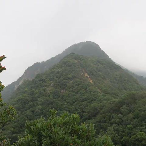 20230205 續 香港500M山頭系列 牛🐮押山677吊手岩589