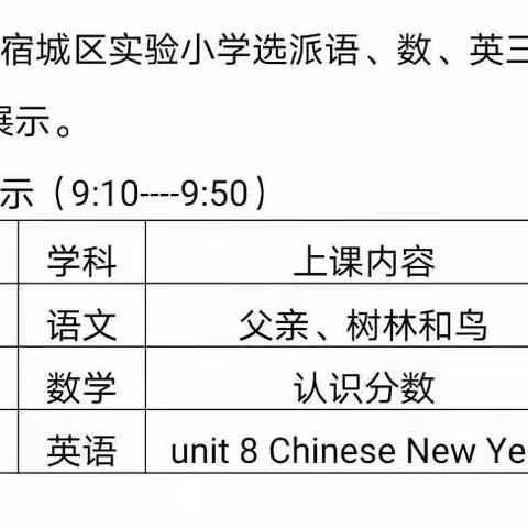 聚焦“双减”落实  共话集团发展——记宿城区实验小学“送教共研”活动