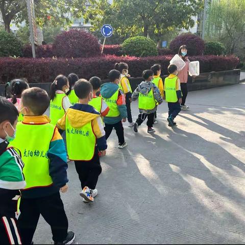 【太阳🌞幼儿园】火箭一班 《植物染——敲拓染》