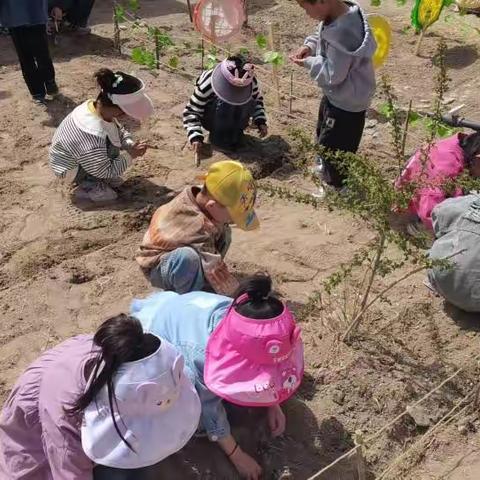 幼儿园里的“美好种植时光”—市春晖幼儿园“丰收菜园”中二班