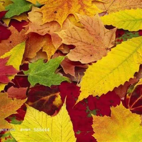 慧眼看世界，巧手绘明天