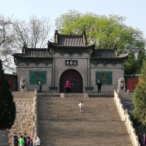 2020.4.27日游太原双塔寺观牡丹。