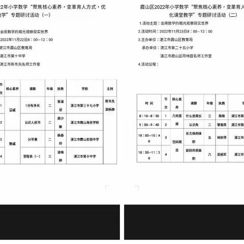 聚焦核心素养，优化课堂教学——湛江市第三十三小学