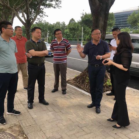 区领导走访调研城门镇重点项目