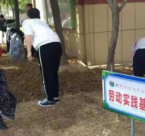 滨河实验学校落实劳动教育