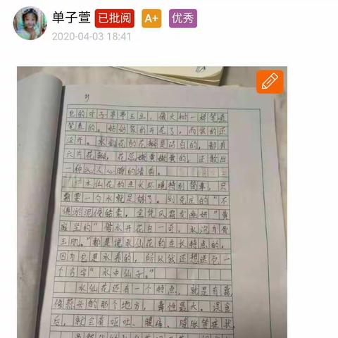 三年级四班优秀作文集锦
