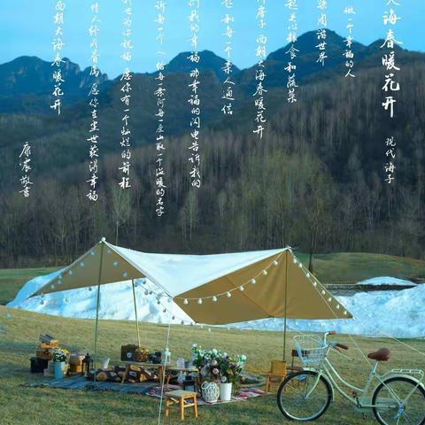 三年级第九周线上教学汇总