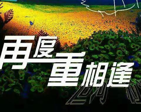 白沙高中78届同学聚会风采之二