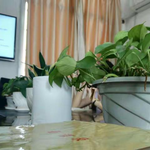 虎岗小学附属幼儿园教研一组第三次集体备课活动。