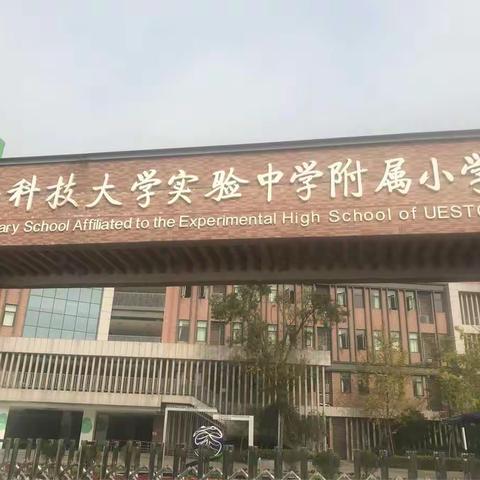 成都高新区阳光时代幼儿园走进电子科大实验中学附属小学交流活动