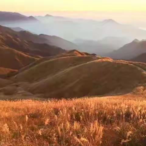 阳光时代幼儿园伴您夜读：最好的教养，是懂得分寸与克制