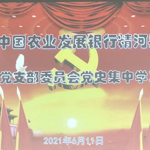 农发行博州分行党史学习教育巡回检查组莅临精河县支行督导党史学习教育工作