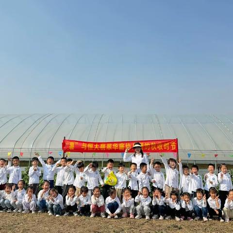 恒大翡翠华庭幼儿园“薯于你的甜蜜丰收时节”