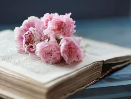 躬行出真知，妙笔展风采