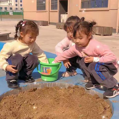 植树节“拥抱春天”