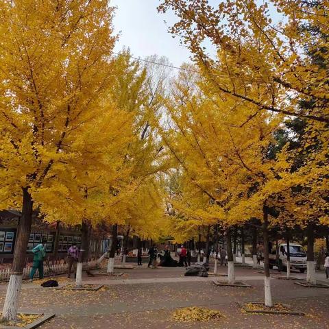 记录美好的生活