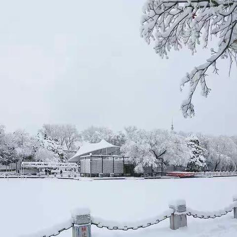 见与不见，心里有你…………谨此献给25年的好友。