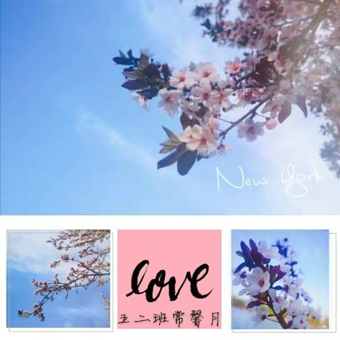 “竹影清摇，时有微凉不是风”育红小学五二班《立夏，追风记》