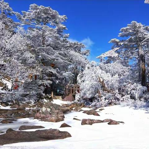 唯美四川·螺髻山📱
