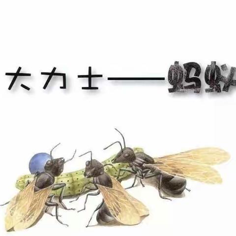 【高新教育】“三叶草绘本馆”绘本分享第十期———《大力士—蚂蚁》