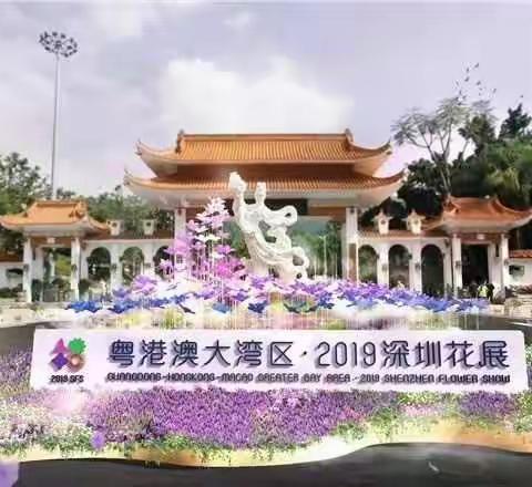 粤港澳大湾区·2019深圳花展--花境展