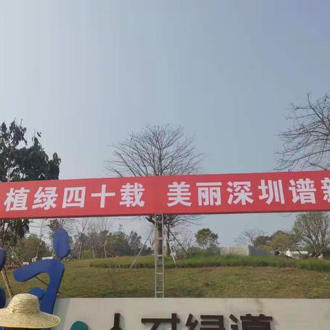 2021年义务植树服务项目工作简报