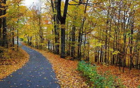 我收获   我快乐——贝思特国际幼儿园百合班趣味采摘活动