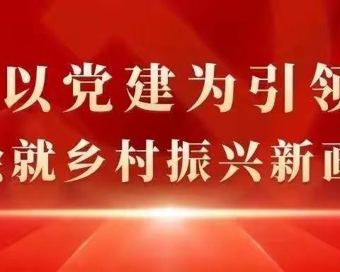 党建引领助力强 乡村振兴有路径