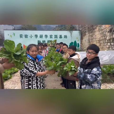 勤耕园里话丰收 劳动实践促成长