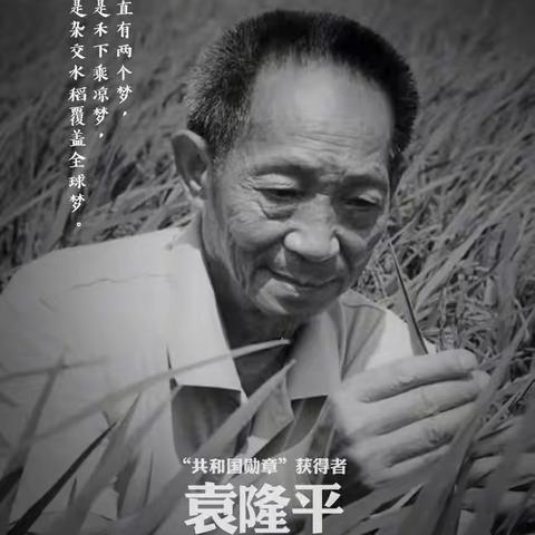 节约粮食 ——北格镇流涧小学致敬“世界杂交水稻之父：袁隆平” 主题教育活动