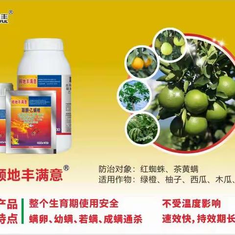 杀螨有法宝，还是满意好