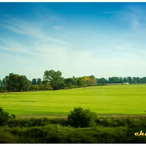 澳洲旅游（一）疏芬山金矿
