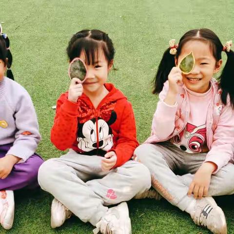 🍃春风十里，我们共植美好明天