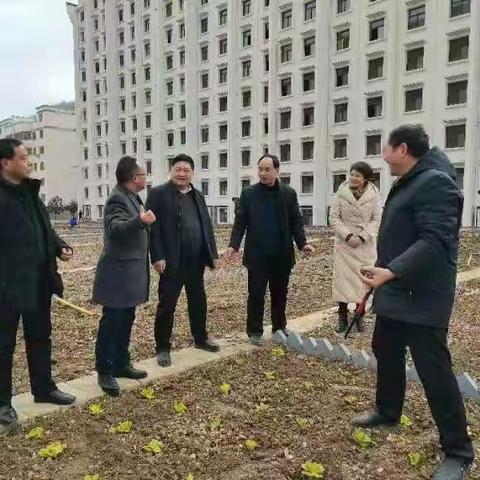 雨水时节耕田忙       镇安掀起春耕热潮