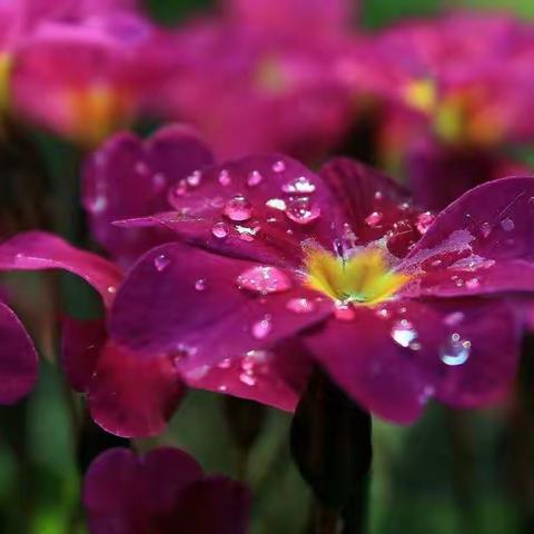 全民健身广场舞展演公益行活动