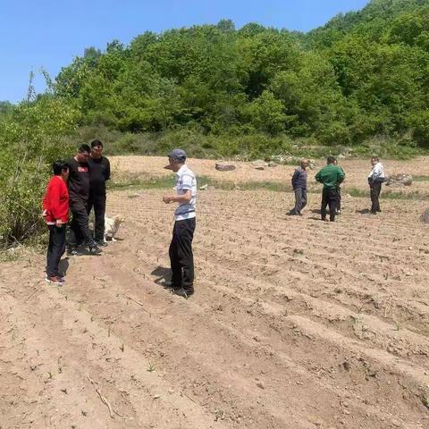 土地纠纷巧化解  多元调解促和谐